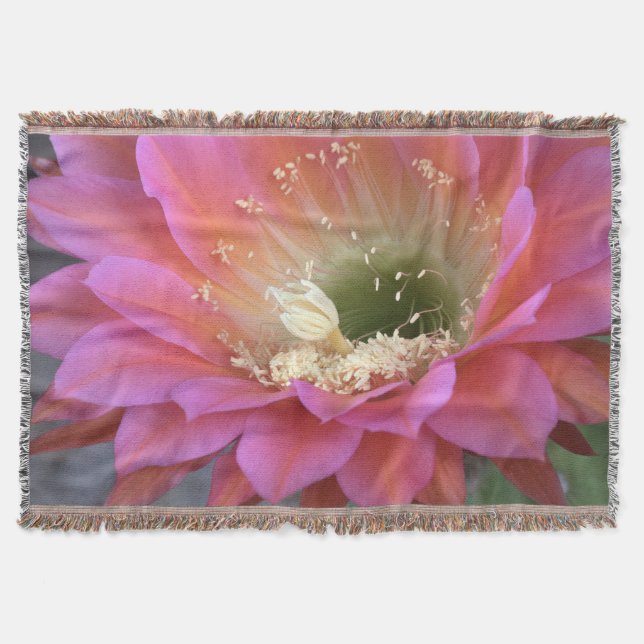 Cobertor Flor de cacto rosa no deserto (Frente)