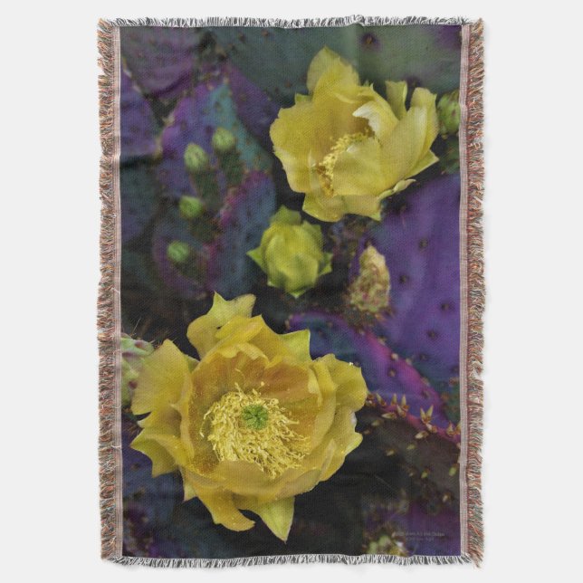 Cobertor Flores Amarelas Púrpuras De Opuntia Perea Cactus (Frente Vertical)