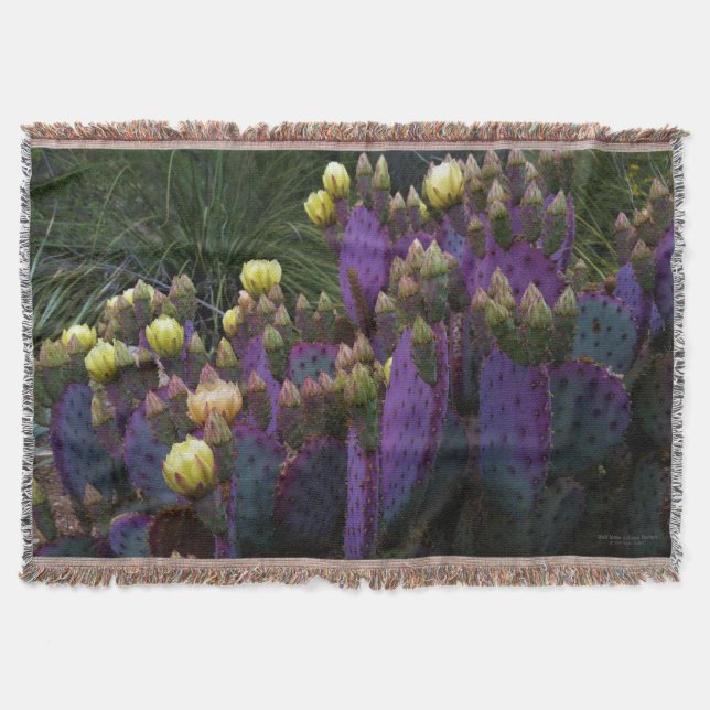 Cobertor Flores Amarelas Púrpuras De Opuntia Perea Cactus (Frente)
