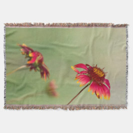 Cobertor Flores Cone começando a florescer