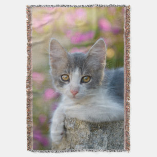 Cobertor Flores Cor-de-Rosa Gatinho Gato-de-Bicolor -