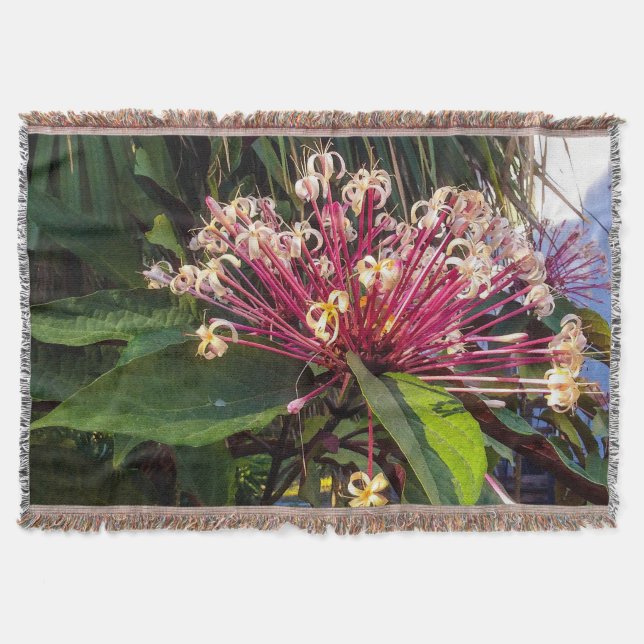 Cobertor Flores de clerodendrum de rajadas de elite (Frente)