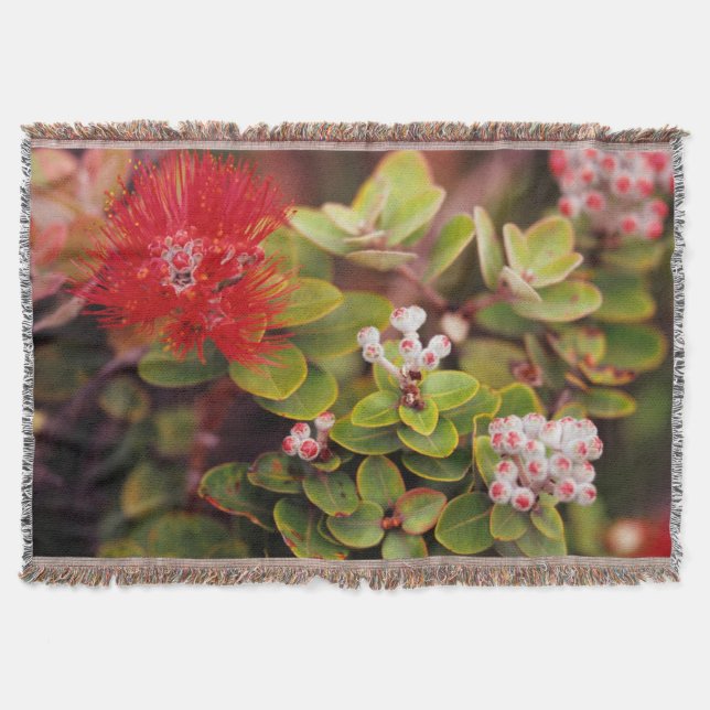 Cobertor Flores de Lehua no Parque Nacional Vulcões do Hava (Frente)