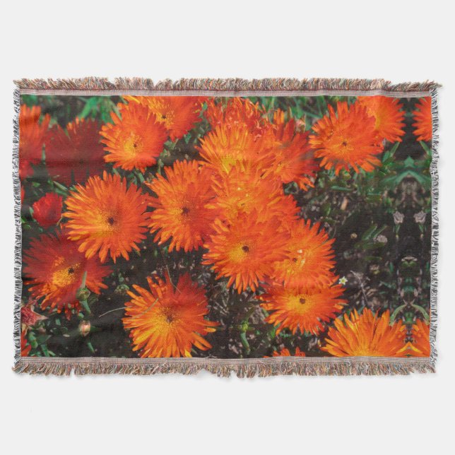 Cobertor Flores de Suculente Laranja Verde da África do Sul (Frente)