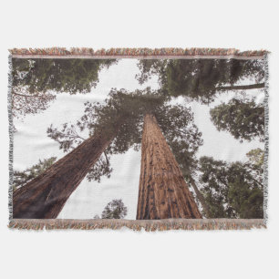 Cobertor floresta, árvore