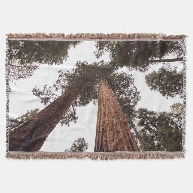 Cobertor floresta, árvore (Frente)