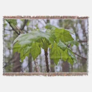Cobertor Folhas da Floresta Após Chuva – Natureza Selvagem