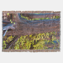 Cobertor Folhas de ouro na trilha do garfo oeste