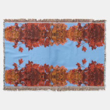 Folhas de outono Vermelhas e Céu Azul