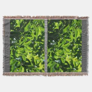 Cobertor folhas frescas primavera verde. fotografia natural