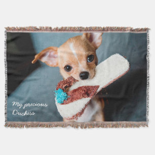 Cobertor Folheto Adorável de Foto Chihuahua