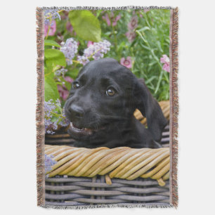 Cobertor Foto de Pet Pet, Cão-de-Cão-de-Cachorro Preto