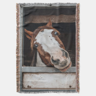 Cobertor Foto do seu cavalo Presente Equestre Personalizado