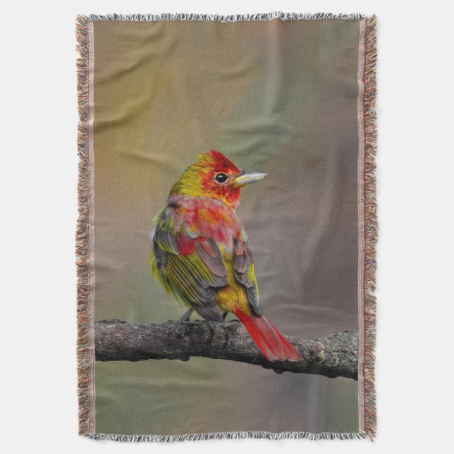 Cobertor Fotografia Original de Tanager Escarlate em Muda (Frente Vertical)