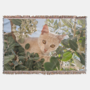Cobertor Gatinho Gato Bonito subindo em uma árvore de Euca