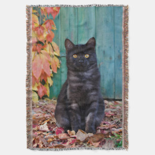Cobertor Gatinho Gato Preto Cinto com Porta Azul Vermelha -