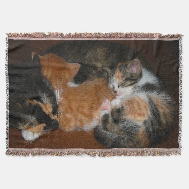 Cobertor Gatinhos com sono (Frente)
