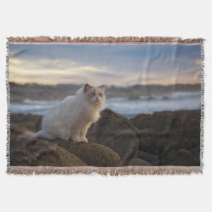 Cobertor Gato de Ragdoll na praia