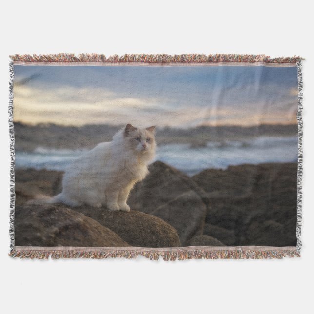 Cobertor Gato de Ragdoll na praia (Frente)