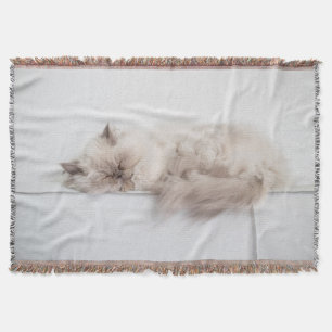 Cobertor Gato persa