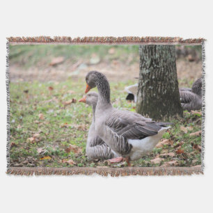 Cobertor Geese