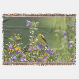 Cobertor Goldfinch em uma Flor Harebell