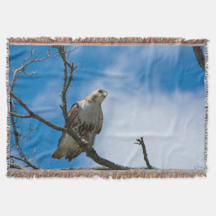 Cobertor Hawk No Soquete Da Caça