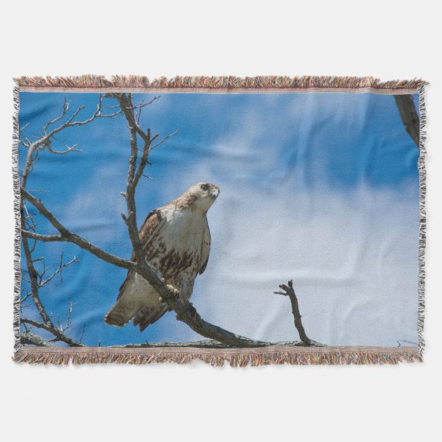 Cobertor Hawk No Soquete Da Caça (Frente)