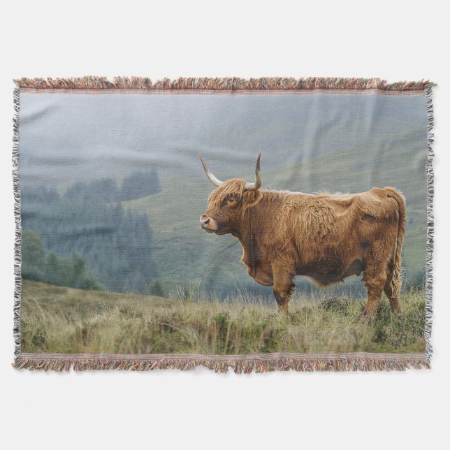 Cobertor Highland Cow Misty Morning (Frente)