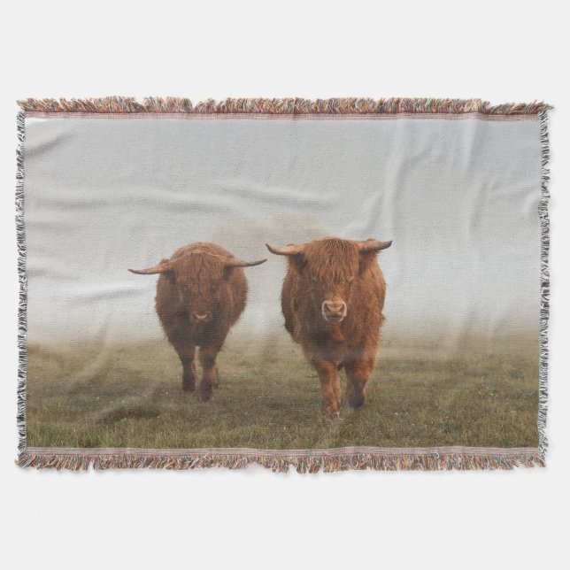 Cobertor Highland Cow Woven Blanket (Frente)