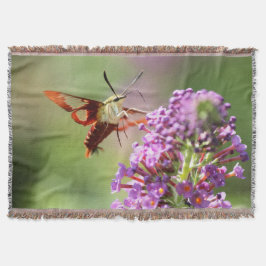 Cobertor Hummingbird Moth em uma Borboleta Bush