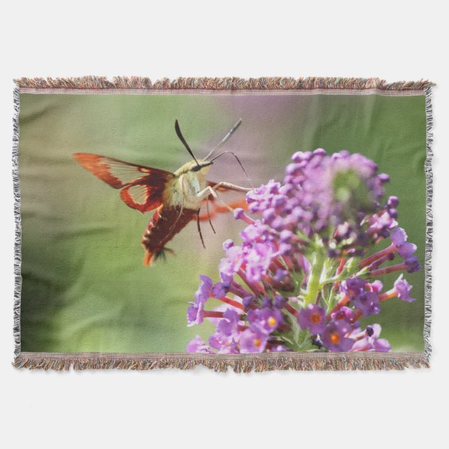 Cobertor Hummingbird Moth em uma Borboleta Bush (Frente)