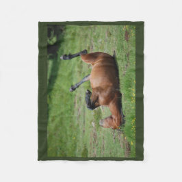 cobertor _ itália _ aveto parque natural _ cavalo