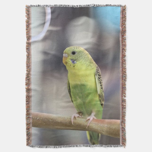 Cobertor Kiwi Burbell (Frente Vertical)