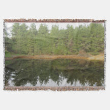 Lago de Reflexão da Árvore do Pinheiro