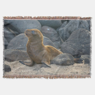 Cobertor Leão-marinho-das-galápagos