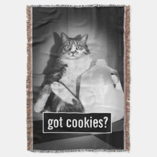 Cobertor Leite De Bebendo De Gato De Jug