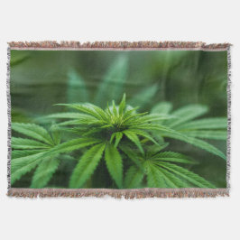 Cobertor Linda Fábrica De Refeições