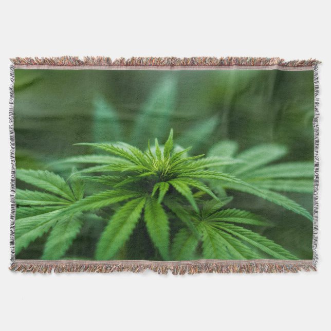 Cobertor Linda Fábrica De Refeições (Frente)