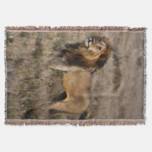 Cobertor Lion Africano