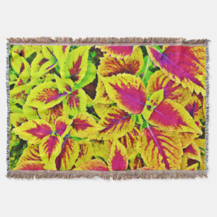 Cobertor Lively deixa dança padrão