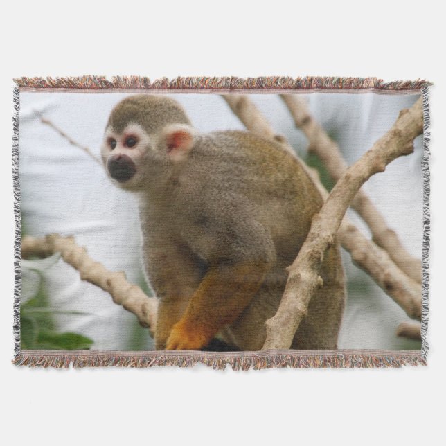 Cobertor Macaco_2014_1201 (Frente)