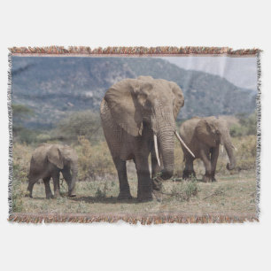 Cobertor Mãe elefante andando com filhote de elefante