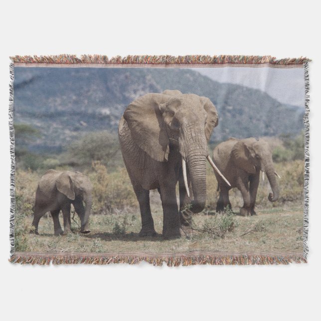 Cobertor Mãe elefante andando com filhote de elefante (Frente)