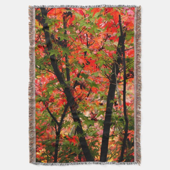Cobertor Maple Japonês (Frente Vertical)