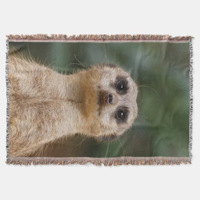 Cobertor Meerkat 001 (Frente)