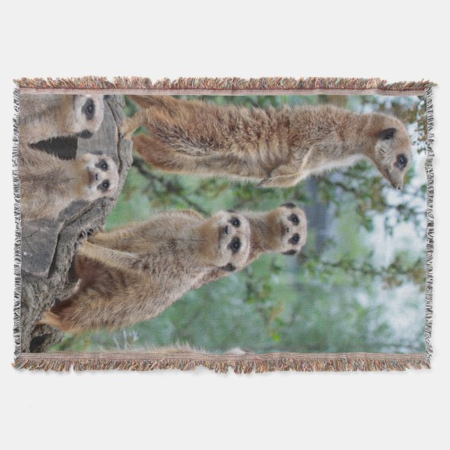 Cobertor Meerkat_003 (Frente)
