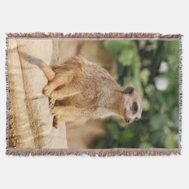 Cobertor Meerkat 010 (Frente)