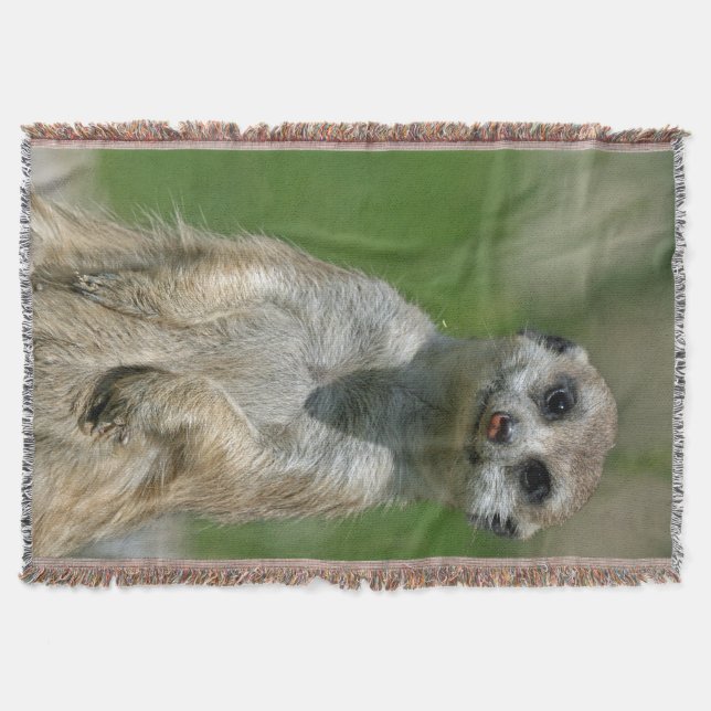 Cobertor Meerkat 013 (Frente)