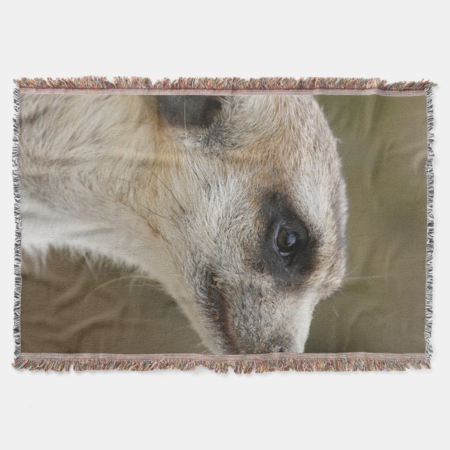Cobertor Meerkat 028 (Frente)